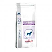 Royal Canin Junior Giant Dog